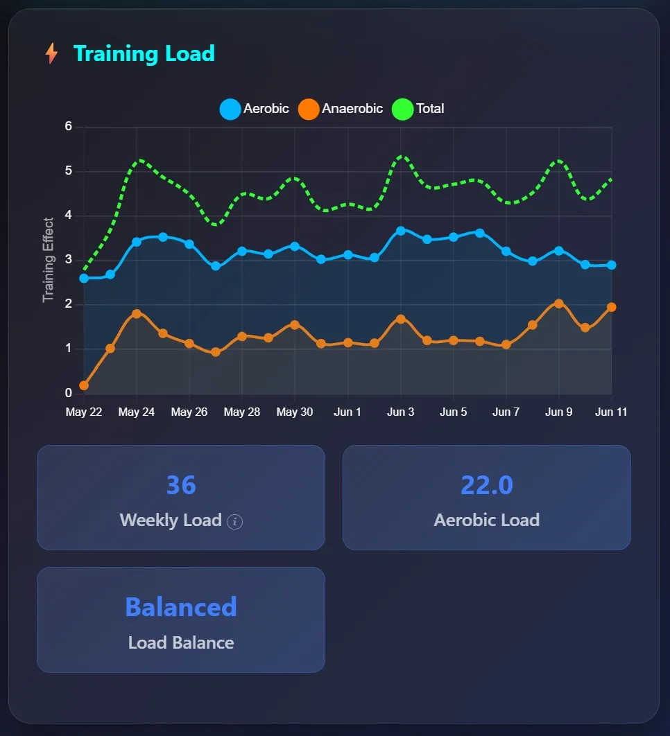 Training Load.jpg