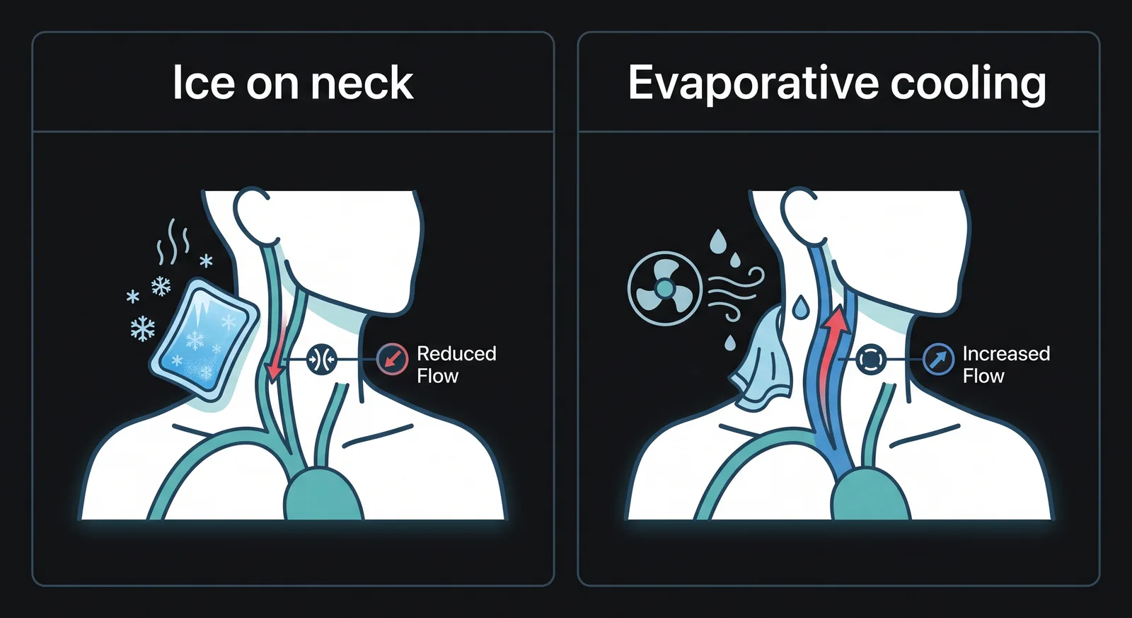 Ice on neck vs Evaporative Cooling.png